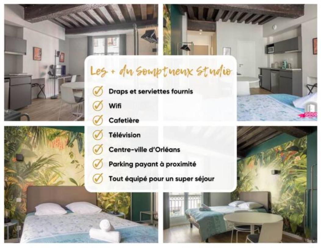 דירות אורליאן Somptueux Studio Hyper Centre Avec Wifi מראה חיצוני תמונה
